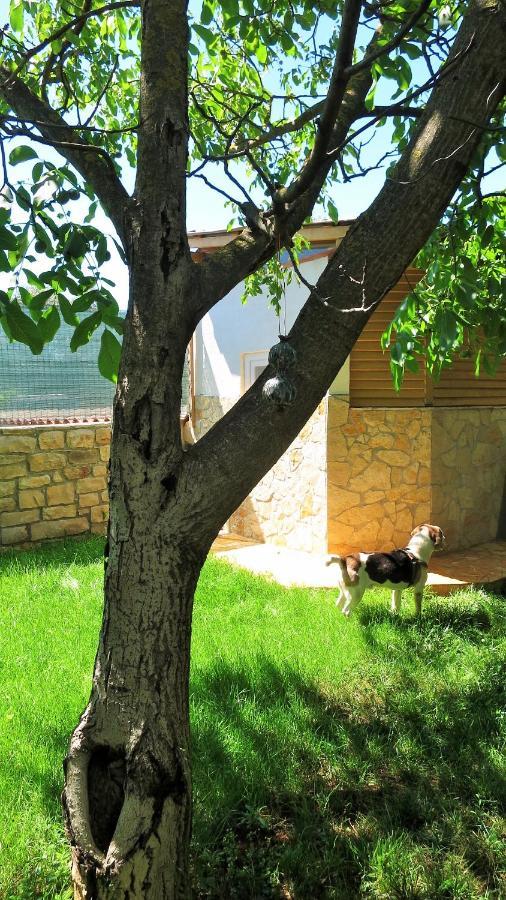 Rukavina Apartament *